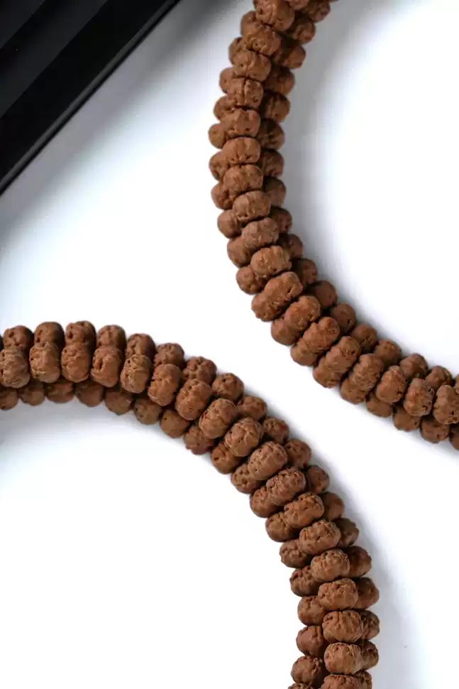 TangCraft Bodhi Seeds Five-Claw Dragon Hand — CALM meditation beads detail 19
